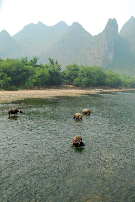 lijiang03